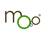 Moso Bamboo