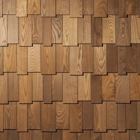 Gont modułowy panel EV S2-BBMS Jesion Thermory