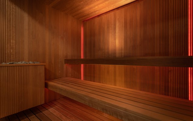 70. Sauna pokazowa z thermo osiki
