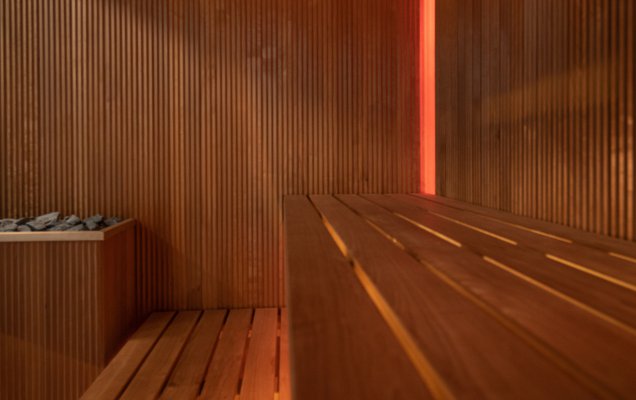 71. Sauna pokazowa z thermo osiki