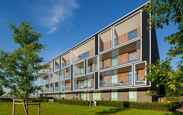 119. Sosna bezsęczna C3 Thermory
